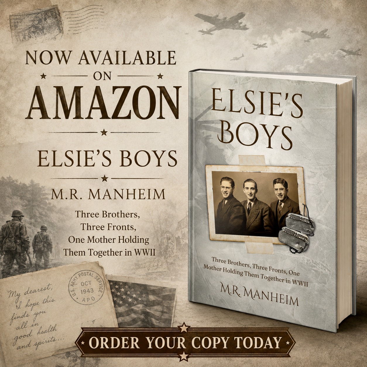 Elsie's Boys book cover